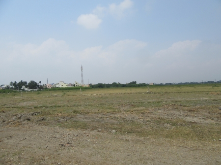 4) Gated Community Ventures Near Gajulamanyam, Tirupati .JPG